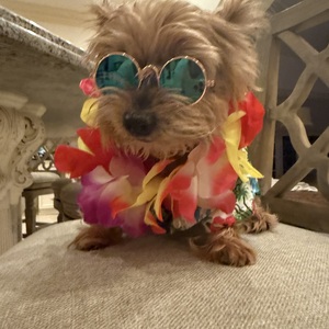 Fundraising Page: Germaine Gauvin